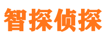 颍东市侦探调查公司